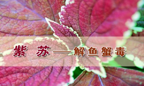 byb.cn