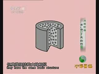 byb.cn