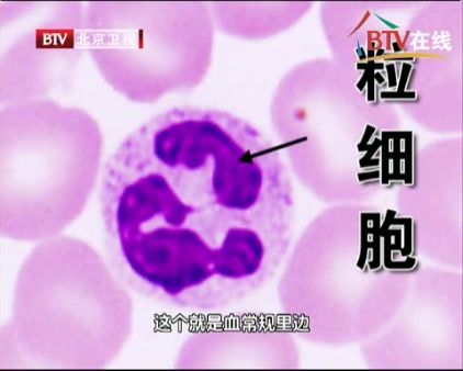 byb.cn